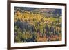 Yellow and Orange Hillside of Aspen in the Fall, Uncompahgre National Forest, Colorado, Usa-James Hager-Framed Photographic Print