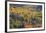 Yellow and Orange Hillside of Aspen in the Fall, Uncompahgre National Forest, Colorado, Usa-James Hager-Framed Photographic Print