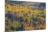 Yellow and Orange Hillside of Aspen in the Fall, Uncompahgre National Forest, Colorado, Usa-James Hager-Mounted Photographic Print