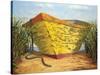 Yellow and Orange Rowboat-Karl Soderlund-Stretched Canvas