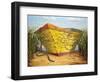 Yellow and Orange Rowboat-Karl Soderlund-Framed Premium Giclee Print