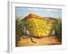 Yellow and Orange Rowboat-Karl Soderlund-Framed Art Print