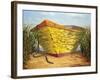 Yellow and Orange Rowboat-Karl Soderlund-Framed Art Print