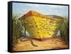 Yellow and Orange Rowboat-Karl Soderlund-Framed Stretched Canvas