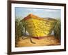 Yellow and Orange Rowboat-Karl Soderlund-Framed Art Print