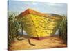 Yellow and Orange Rowboat-Karl Soderlund-Stretched Canvas