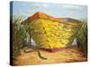 Yellow and Orange Rowboat-Karl Soderlund-Stretched Canvas