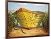 Yellow and Orange Rowboat-Karl Soderlund-Framed Art Print
