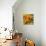 Yellow and Orange Tulips in Bloom-Richard T. Nowitz-Stretched Canvas displayed on a wall