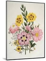 Yellow and Pink Mixed Flowers-Edward Burne-Jones-Mounted Giclee Print