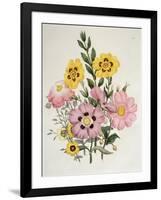 Yellow and Pink Mixed Flowers-Edward Burne-Jones-Framed Giclee Print