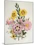 Yellow and Pink Mixed Flowers-Edward Burne-Jones-Mounted Giclee Print