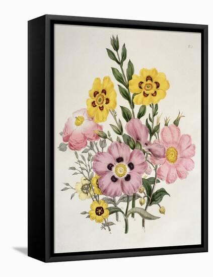 Yellow and Pink Mixed Flowers-Edward Burne-Jones-Framed Stretched Canvas