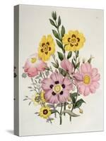 Yellow and Pink Mixed Flowers-Edward Burne-Jones-Stretched Canvas