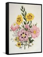 Yellow and Pink Mixed Flowers-Edward Burne-Jones-Framed Stretched Canvas