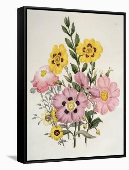 Yellow and Pink Mixed Flowers-Edward Burne-Jones-Framed Stretched Canvas