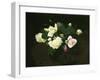 Yellow and Pink Roses-James Stuart Park-Framed Giclee Print