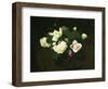 Yellow and Pink Roses-James Stuart Park-Framed Giclee Print