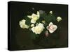 Yellow and Pink Roses-James Stuart Park-Stretched Canvas