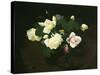 Yellow and Pink Roses-James Stuart Park-Stretched Canvas