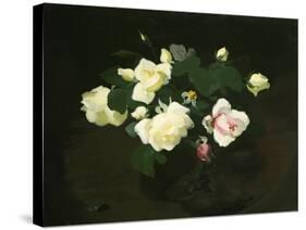 Yellow and Pink Roses-James Stuart Park-Stretched Canvas