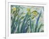 Yellow and Purple Irises, 1924-25 (Detail)-Claude Monet-Framed Giclee Print