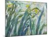 Yellow and Purple Irises, 1924-25 (Detail)-Claude Monet-Mounted Giclee Print