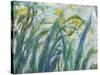 Yellow and Purple Irises, 1924-25 (Detail)-Claude Monet-Stretched Canvas