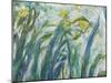 Yellow and Purple Irises, 1924-25 (Detail)-Claude Monet-Mounted Giclee Print