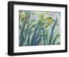 Yellow and Purple Irises, 1924-25 (Detail)-Claude Monet-Framed Premium Giclee Print