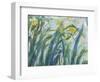 Yellow and Purple Irises, 1924-25 (Detail)-Claude Monet-Framed Premium Giclee Print