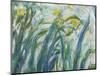 Yellow and Purple Irises, 1924-25 (Detail)-Claude Monet-Mounted Premium Giclee Print