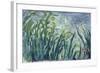 Yellow and Purple Irises, 1924-25-Claude Monet-Framed Giclee Print