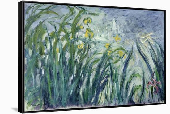 Yellow and Purple Irises, 1924-25-Claude Monet-Framed Stretched Canvas