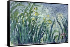 Yellow and Purple Irises, 1924-25-Claude Monet-Framed Stretched Canvas