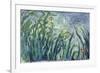 Yellow and Purple Irises, 1924-25-Claude Monet-Framed Giclee Print