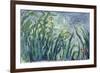 Yellow and Purple Irises, 1924-25-Claude Monet-Framed Giclee Print