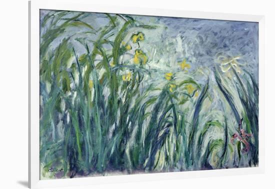 Yellow and Purple Irises, 1924-25-Claude Monet-Framed Giclee Print