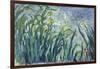 Yellow and Purple Irises, 1924-25-Claude Monet-Framed Giclee Print