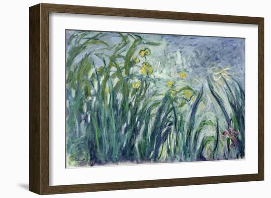 Yellow and Purple Irises, 1924-25-Claude Monet-Framed Giclee Print