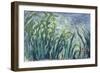 Yellow and Purple Irises, 1924-25-Claude Monet-Framed Giclee Print