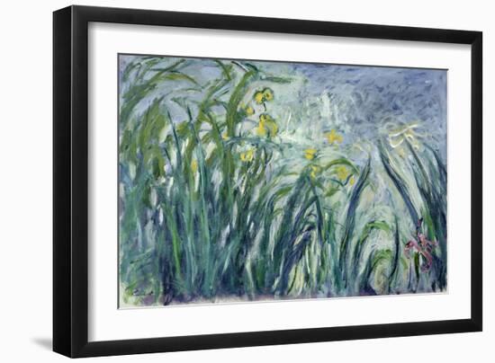 Yellow and Purple Irises, 1924-25-Claude Monet-Framed Giclee Print