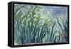 Yellow and Purple Irises, 1924-25-Claude Monet-Framed Stretched Canvas