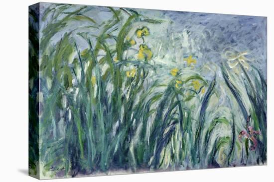 Yellow and Purple Irises, 1924-25-Claude Monet-Stretched Canvas