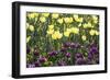 Yellow And Purple-Incredi-Framed Giclee Print