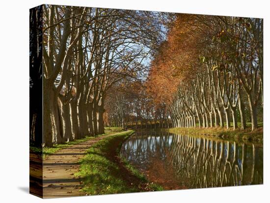 Yellow and Red Leaves in Autumn Along the Canal Du Midi, UNESCO World Heritage Site, Aude, Languedo-Tuul-Stretched Canvas