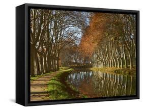 Yellow and Red Leaves in Autumn Along the Canal Du Midi, UNESCO World Heritage Site, Aude, Languedo-Tuul-Framed Stretched Canvas