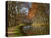 Yellow and Red Leaves in Autumn Along the Canal Du Midi, UNESCO World Heritage Site, Aude, Languedo-Tuul-Stretched Canvas