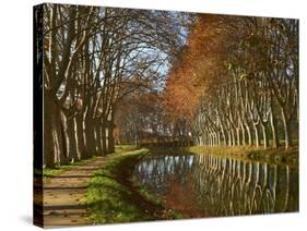 Yellow and Red Leaves in Autumn Along the Canal Du Midi, UNESCO World Heritage Site, Aude, Languedo-Tuul-Stretched Canvas