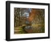 Yellow and Red Leaves in Autumn Along the Canal Du Midi, UNESCO World Heritage Site, Aude, Languedo-Tuul-Framed Photographic Print